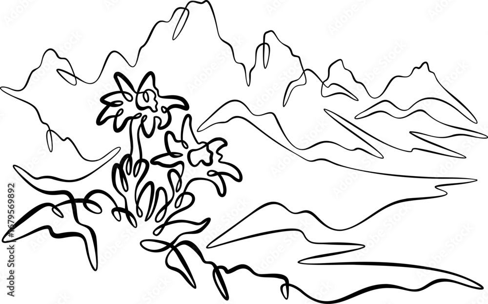Poster continuous one line drawing alpine flowers. mountain flowers. mountain landscape. one continuous lin