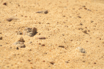 Sand on the beach.The sandy surface of Mars.