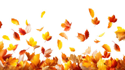 Orange autumn leaves border isolated on transparent background PNG