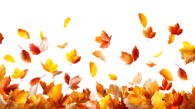 Orange autumn leaves border isolated on transparent background PNG