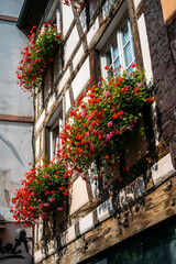 Obraz premium Traditional timber-framed building with overflowing flower boxes of red and pink geraniums in bright sunlight. Romantic facades, European heritage, ornamental architecture, seasonal living