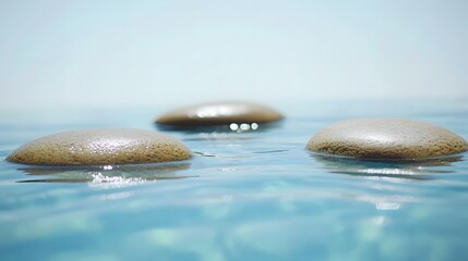 Serene Stones Floating on Calm Water Surface