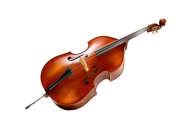 Double Bass Body on Transparent Background