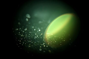 Chronoscape Echoes of the Green Planet