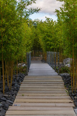 Naklejka premium boardwalk in the park