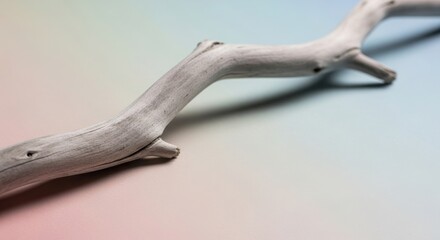 Obraz premium Single weathered grey branch with textured surface on a soft pastel gradient background wood natural