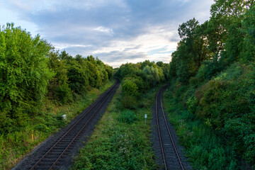Fototapeta premium railway in the forest