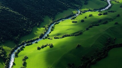 Aerial View Winding Rivers Flowing