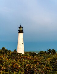 Lighthouse overlooking tropical foliage