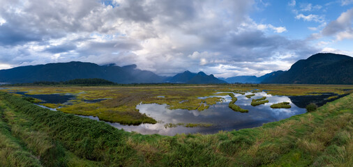 Scenic View of Marshland with Mountains in BC, Canada