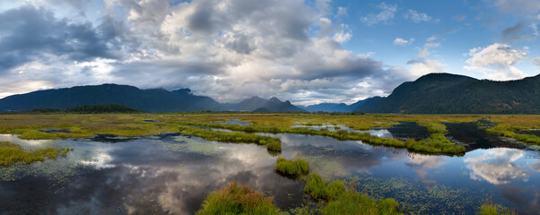 Idyllic Marshy Landscape with Reflections Overlooked by Green Hills in BC, Canada