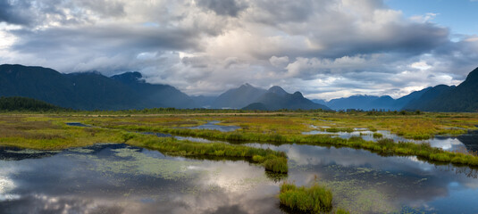 Scenic View of Marshland with Mountains Under Cloudy Sky in BC, Canada