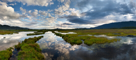 Serene Wetland Landscape with Cloudy Sky Reflections in BC, Canada