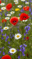 Obraz premium Vibrant wildflowers bloom in a colorful meadow during early summer, showcasing nature's beauty