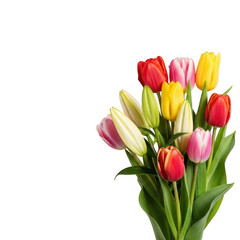 Naklejka premium Colorful tulips bouquet isolated on transparent background