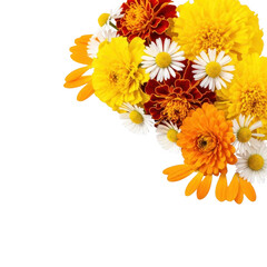 Colorful autumn flowers isolated on transparent background