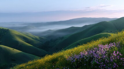 A panoramic sunrise over rolling hills covered in morning mist and wildflowers