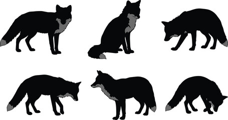 Fox silhouette vector illustration, different wild animal poses, standing, walking, and sitting fox graphics for wildlife design, decoration, print, and educational use