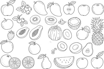 Fruit line art vector illustration set, black and white coloring icons, tropical and seasonal fruits for kids education, learning materials, design use