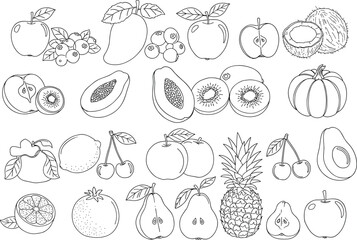 Black and white outline fruit vector set, tropical and organic hand-drawn illustrations for coloring books, educational materials, packaging, and healthy food designs.