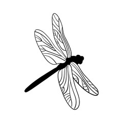 Minimalist line art dragonfly illustration. Elegant insect drawing with delicate wings, simple outline, perfect for nature, tattoo, or decorative designs.