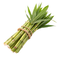 Fototapeta premium Bunch of green asparagus isolated on a transparent background 