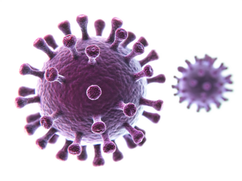 microscopic view of a virus particle a detailed isolated on white background, png, ai generated.
