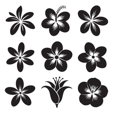 Set Tropical flowers black silhouettes. Hand drawn. Vector black silhouette. with white background