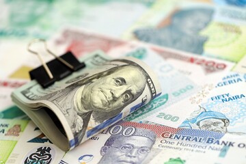 Nigerian naira currency money bills and bunch of us dollar banknotes. The concept of economics and...