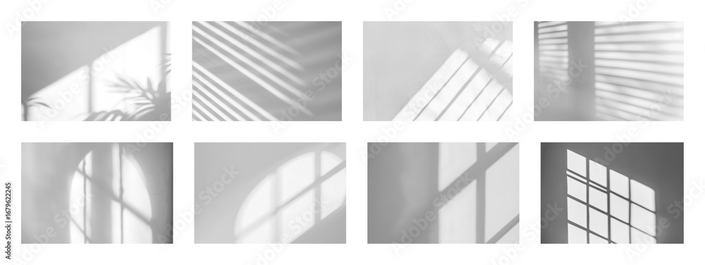 Poster png abstract palm leaf shadows pattern, element set on transparent background