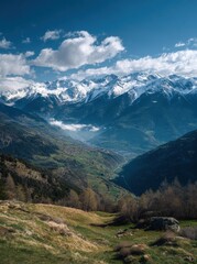 Fototapeta premium WINTER SEASON