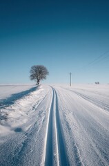 Obraz premium WINTER SEASON