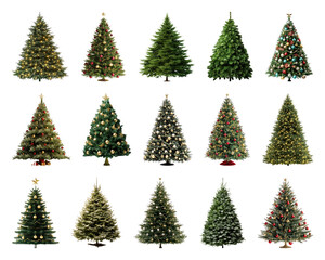 Obraz premium PNG Festive evergreen Christmas trees variety, element set on transparent background