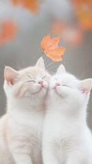 Adorable baby cats sharing a loving kiss under a tree. Sweet British Shorthair kittens kissing