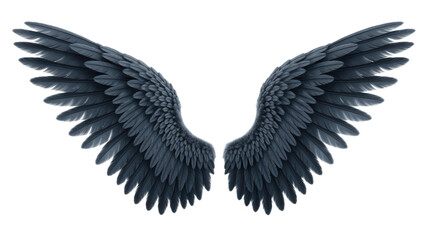 Obraz premium Majestic dark feathered wings spread wide against a clean white background, suggesting power and freedom.