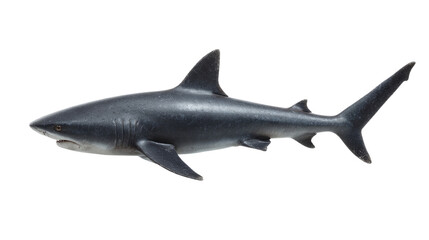 Naklejka premium Magnificent shark isolated on a transparent canvas, revealing its detailed skin textures,