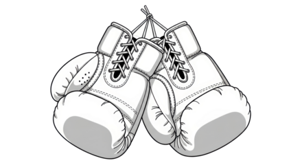 Isolated Boxing Gloves