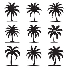 Set Palm trees black silhouettes. Vector black silhouette. with white background