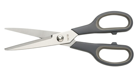 Isolated Gray Handled Scissors