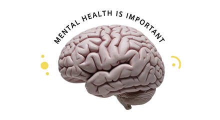 Isolated Brain Illustration with Mental Health Message