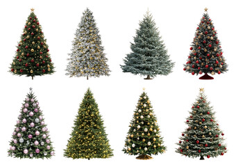 Obraz premium PNG Diverse festive Christmas trees displayed, element set on transparent background