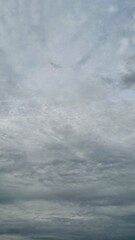 Muted Vertical Sky with Soft Clouds