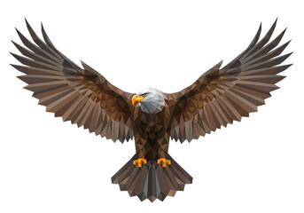 Obraz premium Bald Eagle Soaring with Wings Spread on transparent background