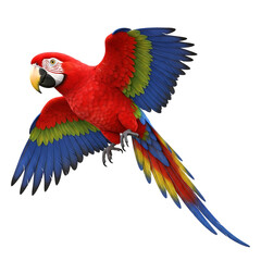 Fototapeta premium Vibrant scarlet macaw parrot in flight with colorful wings isolated on transparent background