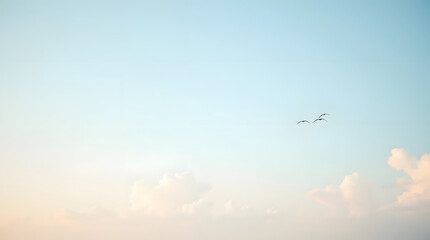 Fototapeta premium Three birds fly in a pale blue sky with soft clouds. Freedom and peace.