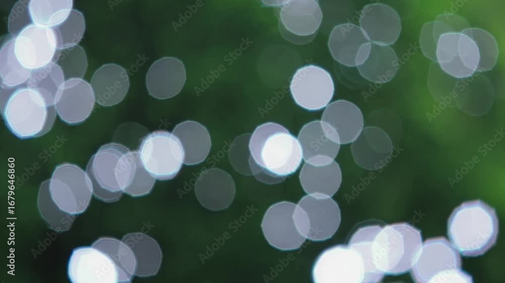 Poster stunning closeup of whimsical bokeh circles against a lush green backdrop ideal for creative project