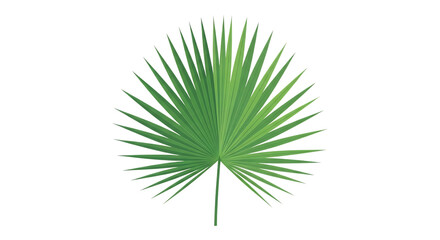 Fototapeta premium Green Palm Leaf Illustration on Transparent Background