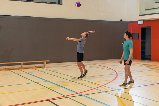Two male volleyball players serving ball, watching in gym on court with bench, boundary lines - Powered by Adobe