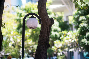 Streetlamp Surrounded by Lush Greenery