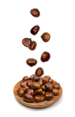 Falling edible sweet whole chestnuts, chest nuts in air isolated on white background